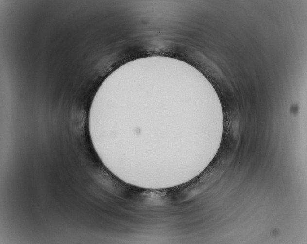 X0000102860660200809151212