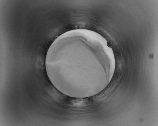 X0000102860661200809151212