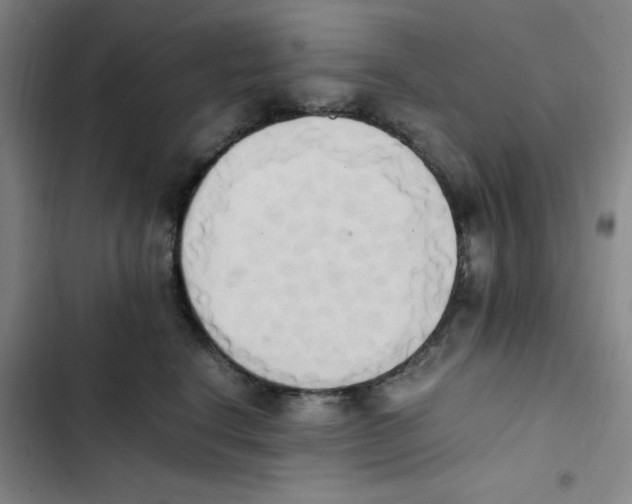 X0000102860664200809151212