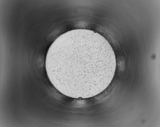 X0000102860665200809151212