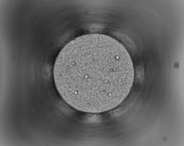 X0000102860667200809151212