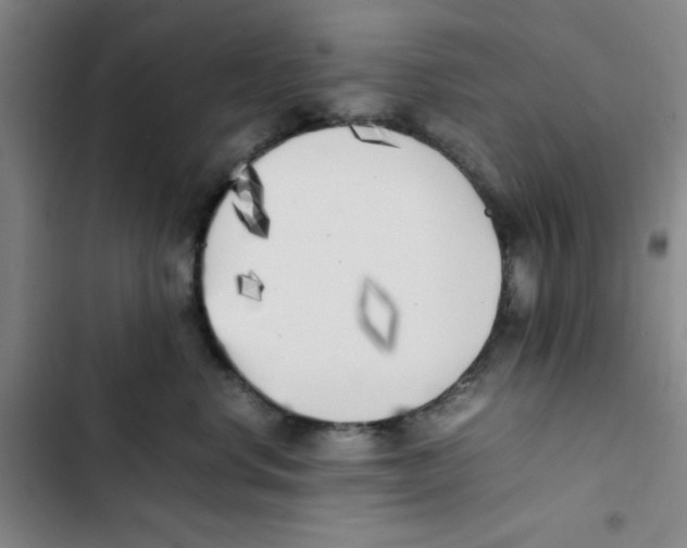 X0000102860668200809151212