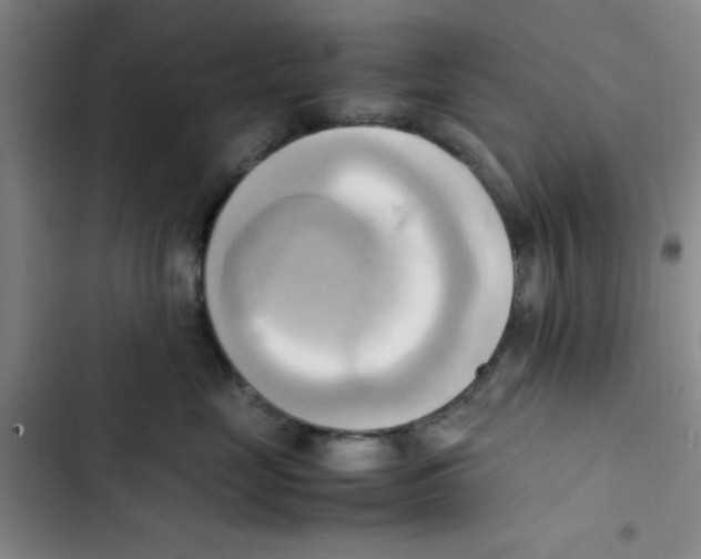 X0000102860669200809151212