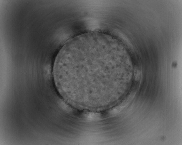 X0000102860670200809151212