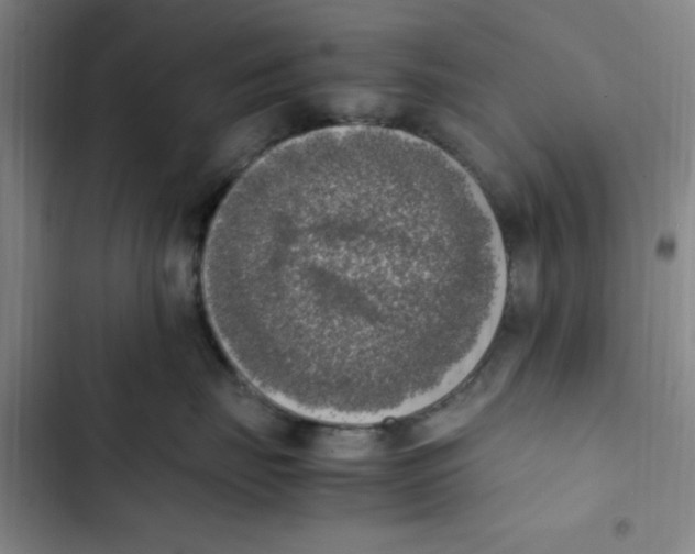 X0000102860671200809151212