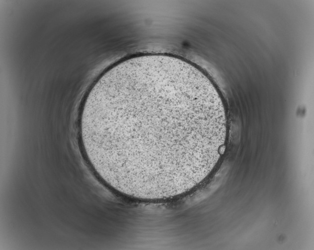 X0000102860673200809151212