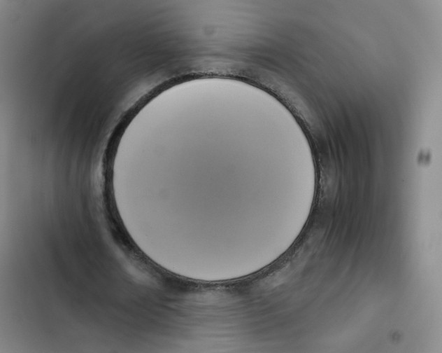 X0000102860674200809151212