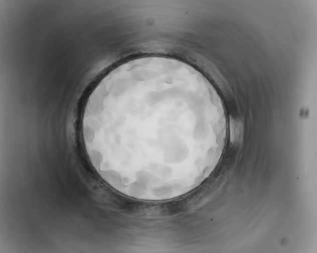 X0000102860675200809151212