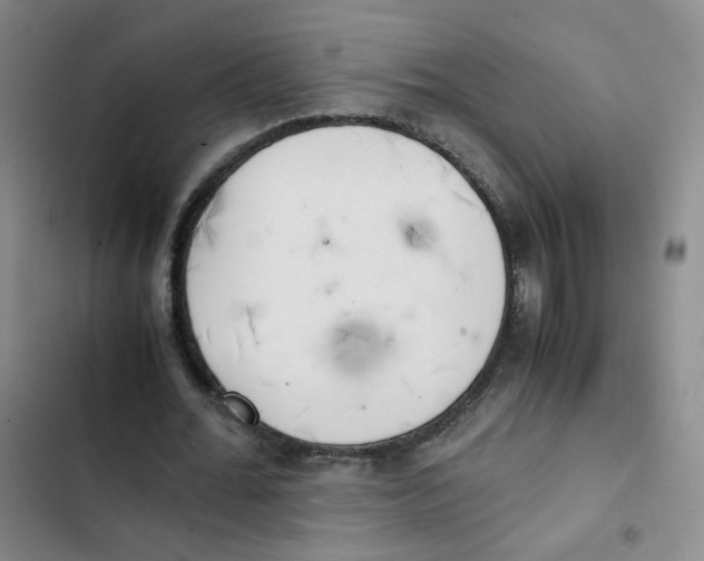 X0000102860676200809151212