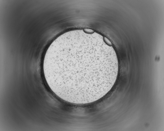 X0000102860677200809151212