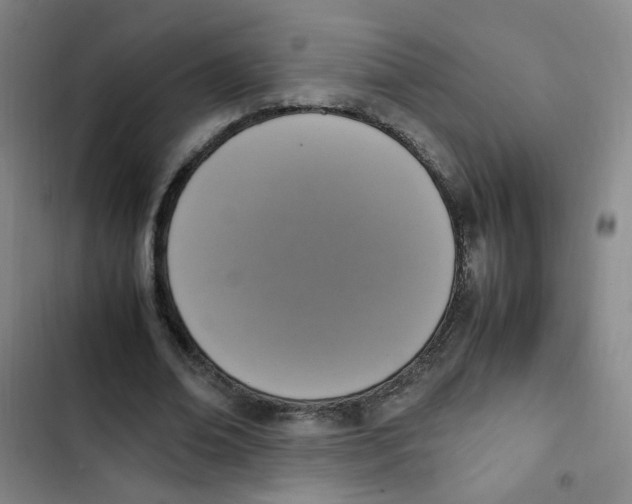 X0000102860678200809151212
