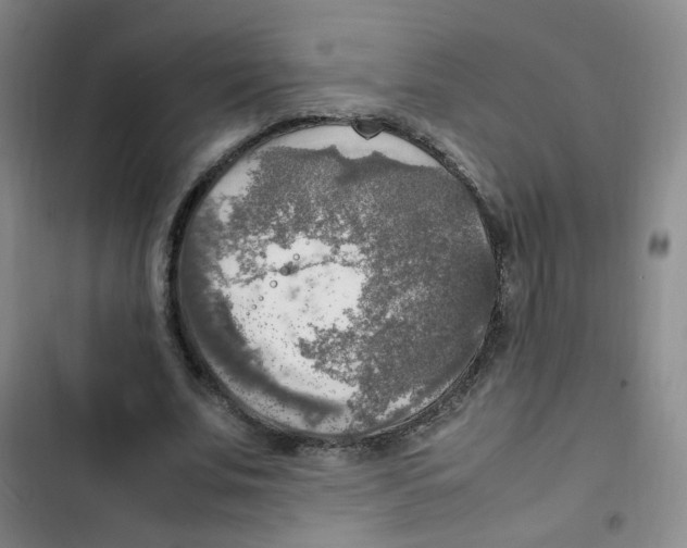 X0000102860679200809151212
