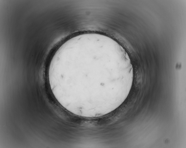 X0000102860680200809151212