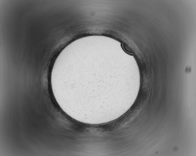 X0000102860681200809151212