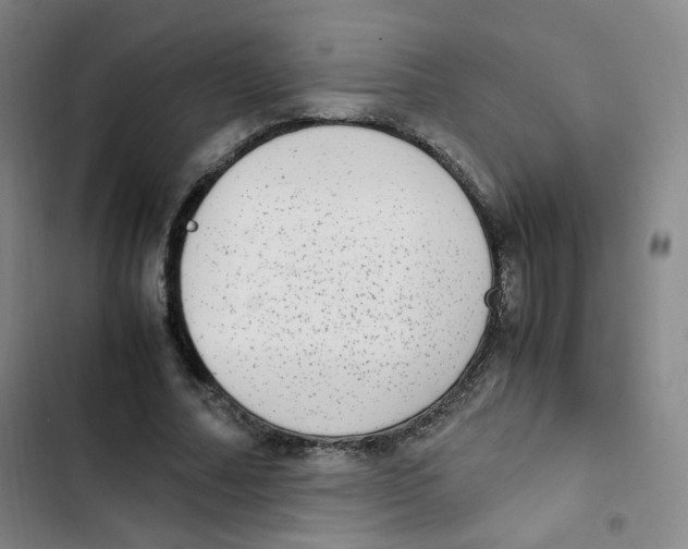 X0000102860682200809151212