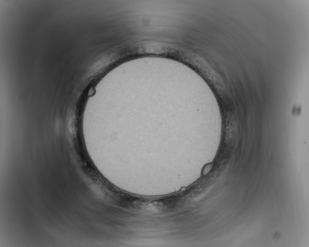 X0000102860683200809151212