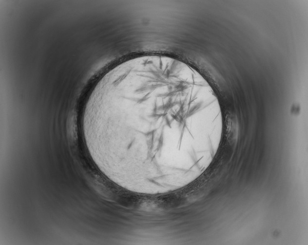 X0000102860684200809151212