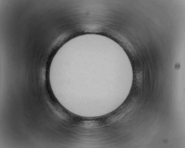 X0000102860686200809151212