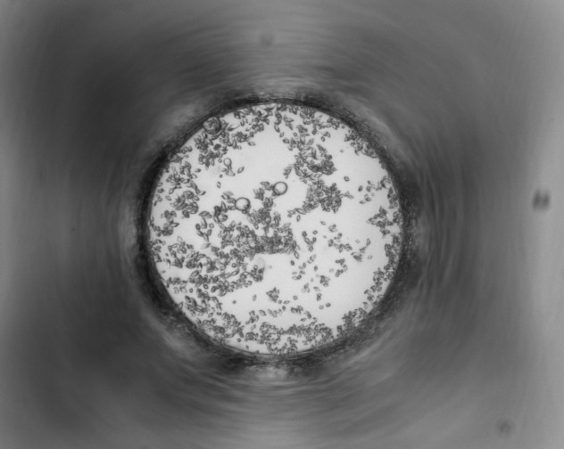 X0000102860687200809151212