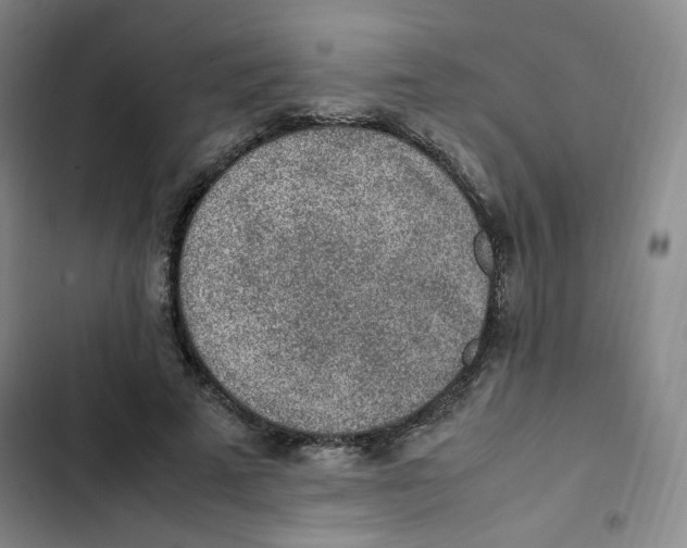 X0000102860689200809151212