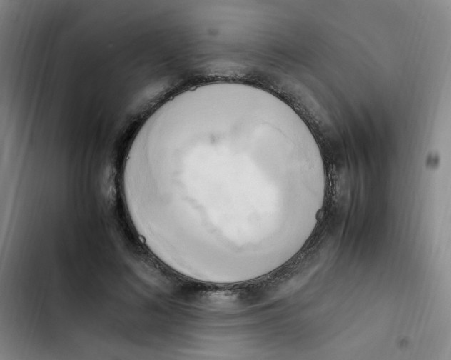 X0000102860692200809151212