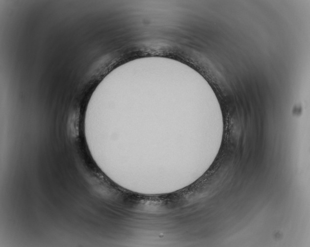 X0000102860694200809151211