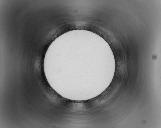X0000102860698200809151211