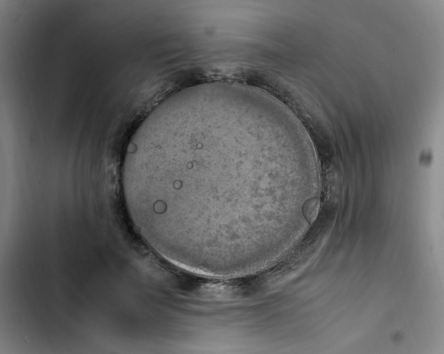 X0000102860699200809151211