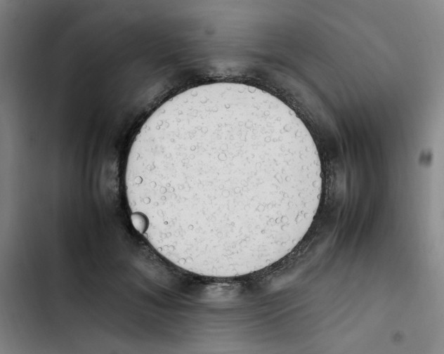 X0000102860700200809151211