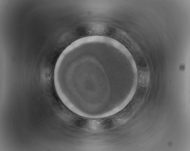 X0000102860701200809151211