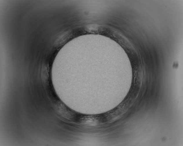 X0000102860702200809151211