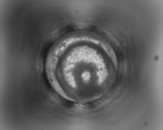 X0000102860703200809151211