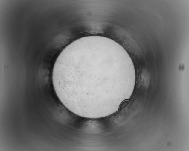 X0000102860704200809151211