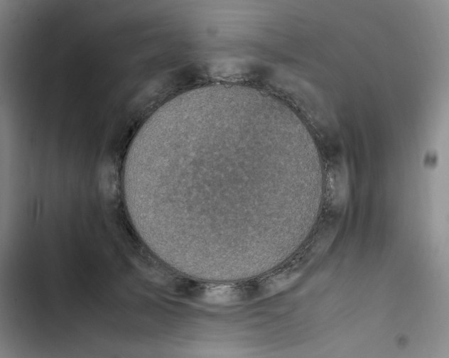 X0000102860705200809151211