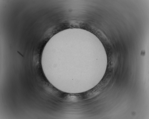 X0000102860706200809151211