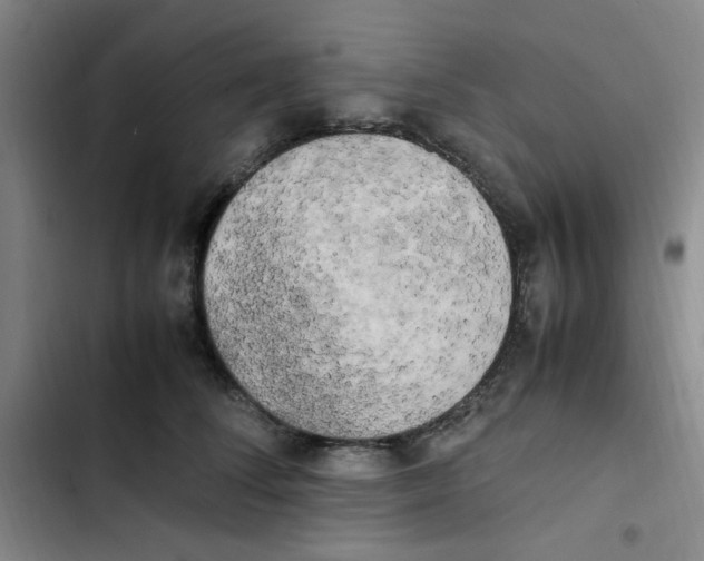 X0000102860708200809151211