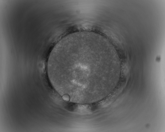 X0000102860709200809151211