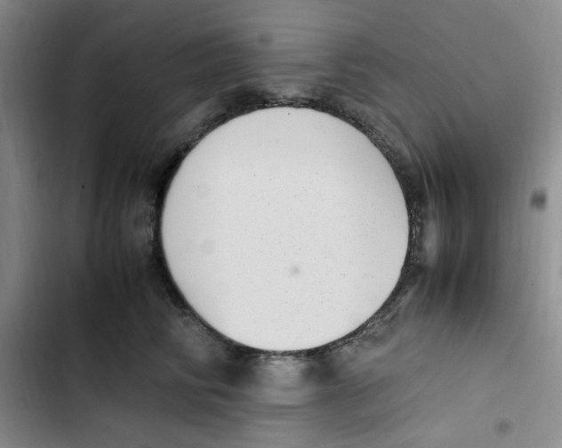 X0000102860710200809151211