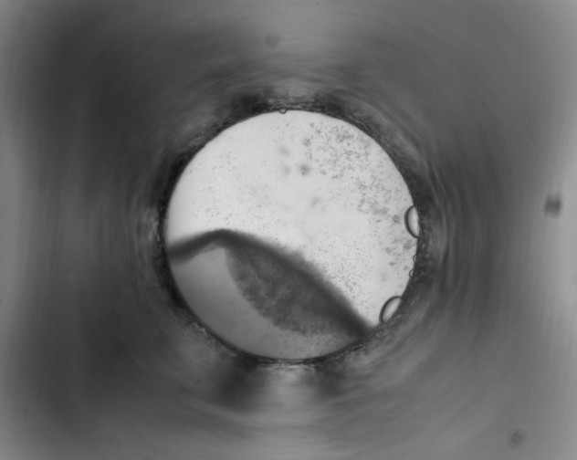 X0000102860711200809151211