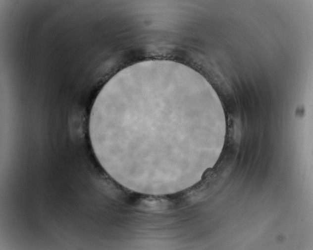 X0000102860712200809151211