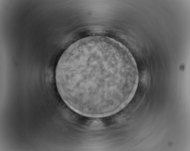 X0000102860715200809151211