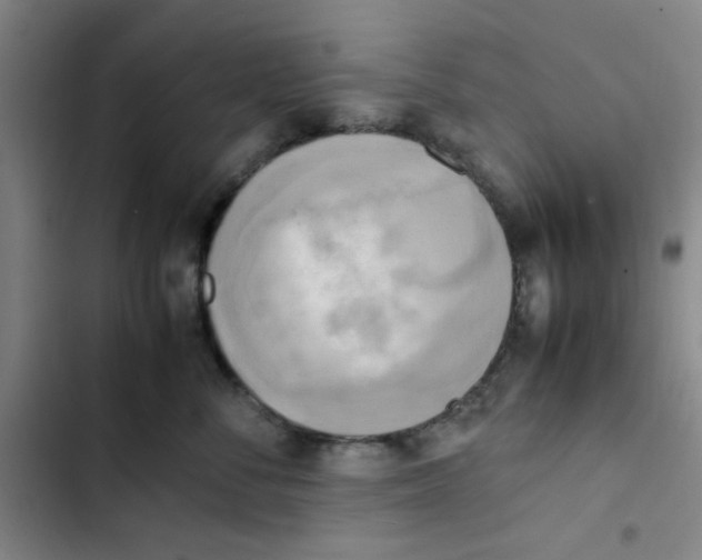 X0000102860716200809151211
