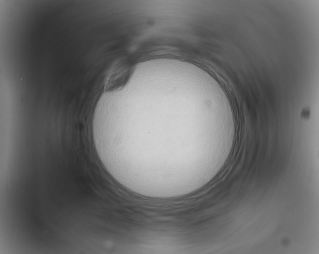 X0000102860717200809151211