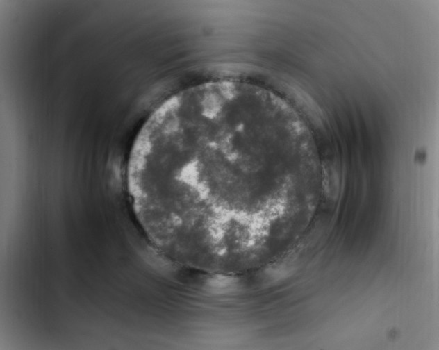 X0000102860718200809151211
