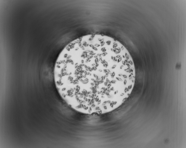 X0000102860719200809151211