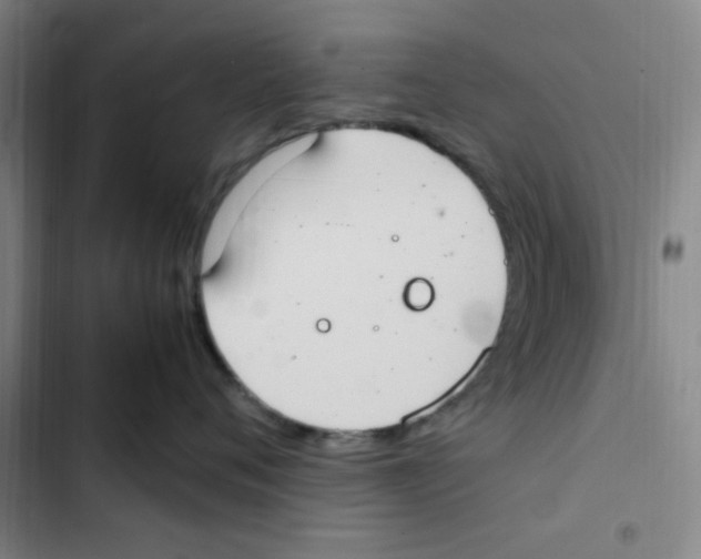 X0000102860720200809151211
