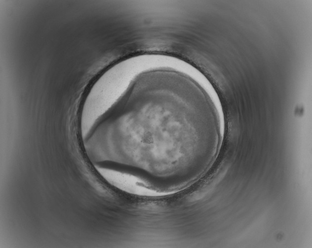 X0000102860721200809151210