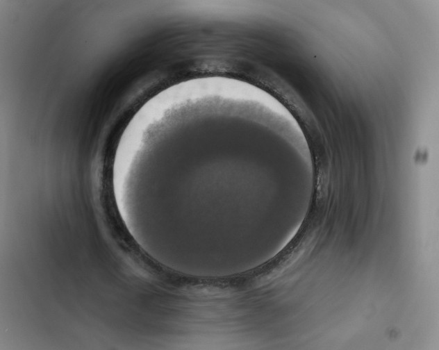 X0000102860722200809151210