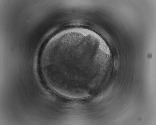 X0000102860724200809151210