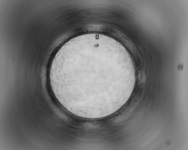 X0000102860725200809151210